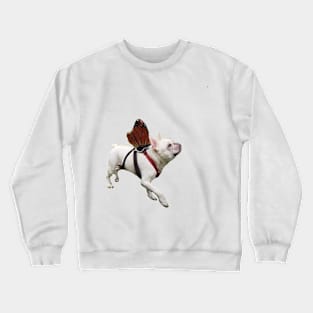 Petunia Butterfly Crewneck Sweatshirt